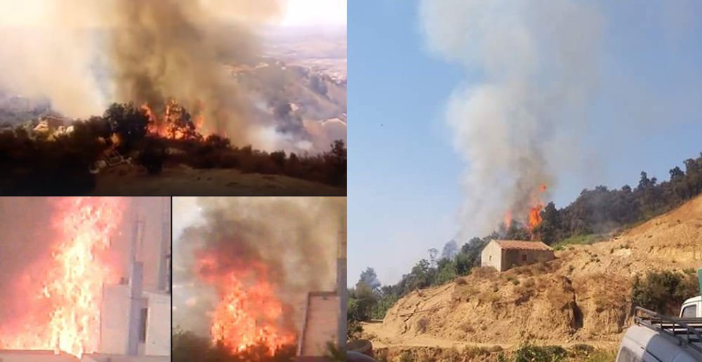 Reprise des incendies en Kabylie : Saharidj, Larvaa Nat Yiraten et Iferhounène touchés