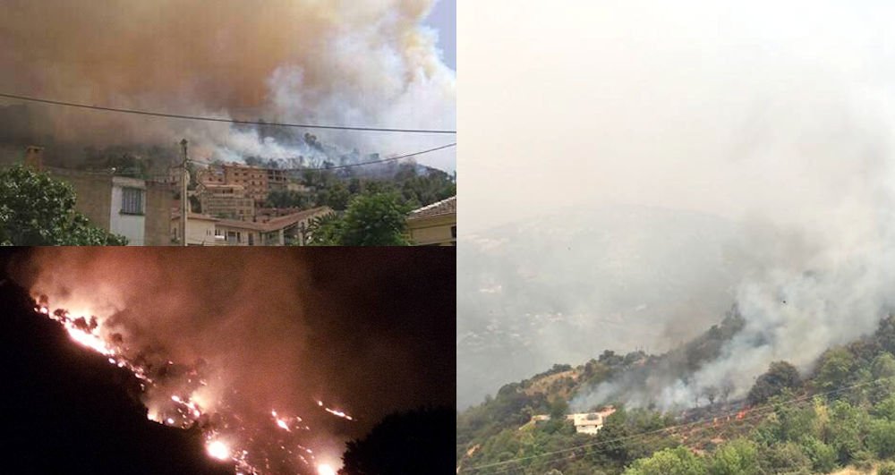 Mekla en feu toute la journée d’hier : des centaines d’oliviers calcinés et des habitations touchées