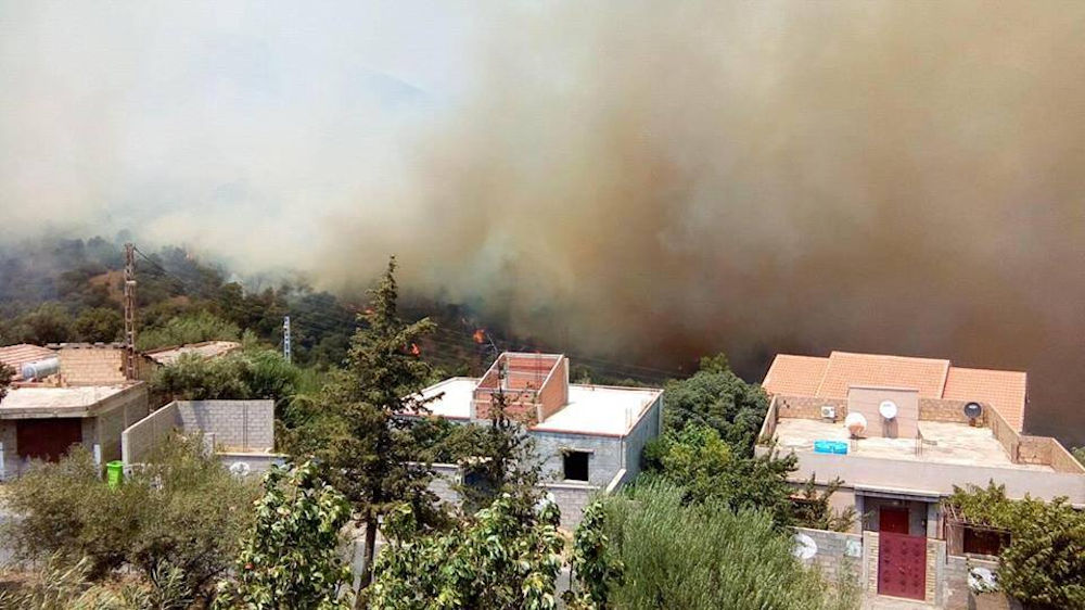 SOS feux ravageurs : Le village Tigrine d’Ouzellaguen appelle à l’aide