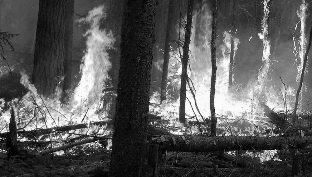 Le feu dans l’histoire de la Kabylie : une arme de guerre qui ne dit pas son nom