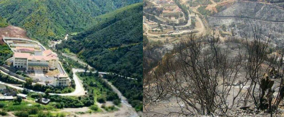 La Kabylie incendiée : le pouvoir colonial algérien est au moins complice