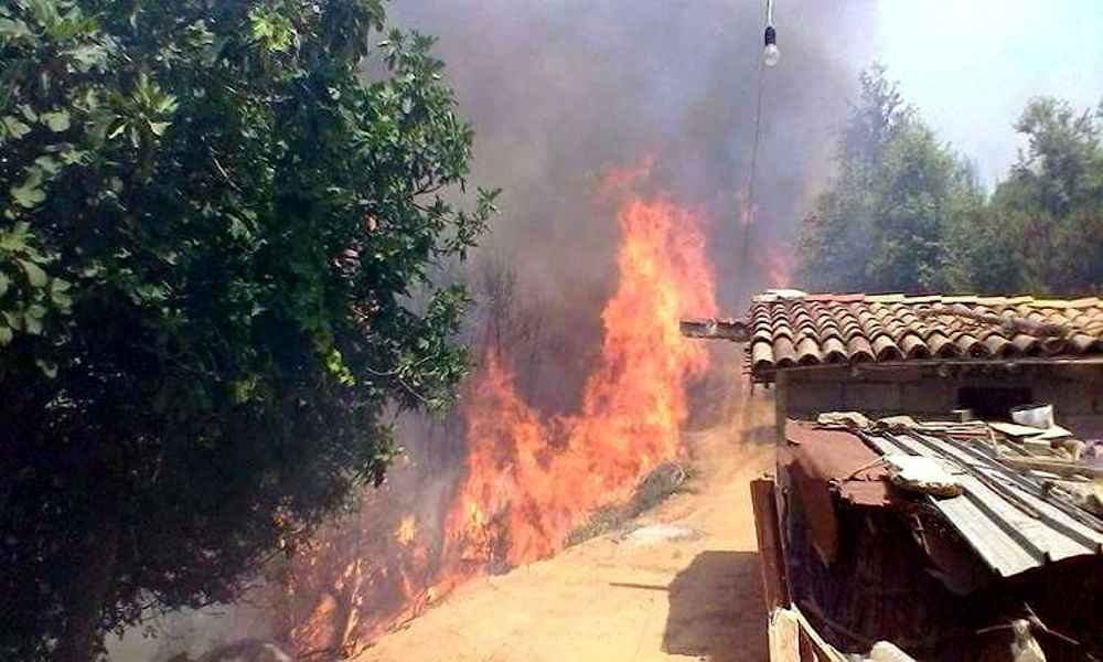 La politique de la terre brûlée du régime algérien vise à rendre la Kabylie dépendante d’Alger