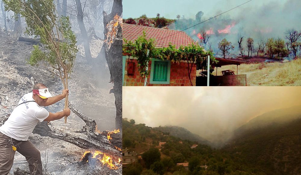 De nouveaux incendies menacent les habitations à Iɛeẓẓugen et Mekla