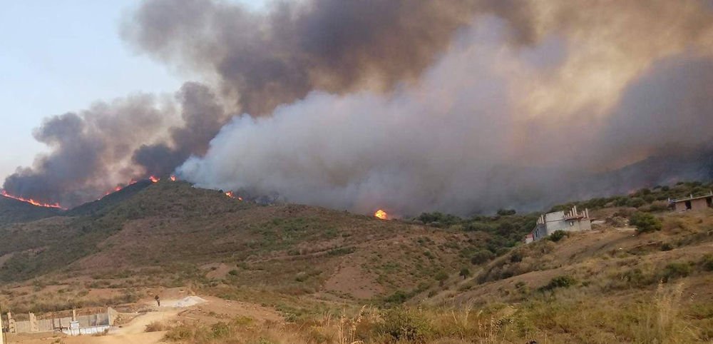 Au moins huit (08) nouvelles localités victimes d’incendies dans l’Est de la Kabylie