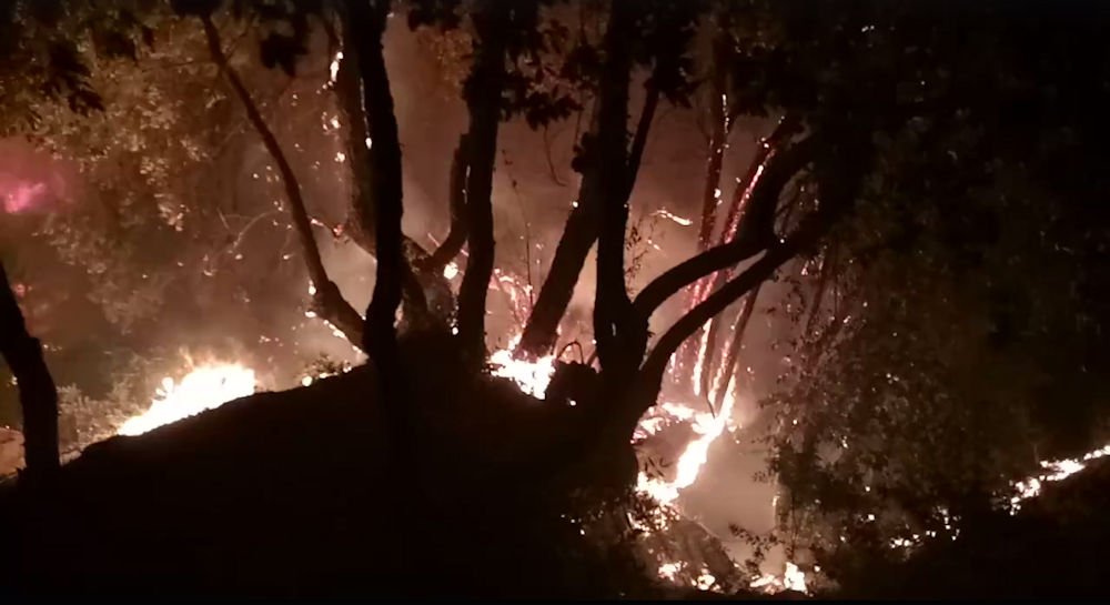 Aghribs : la vidéo bouleversante d’un incendie qui a envahi le village Tamassit