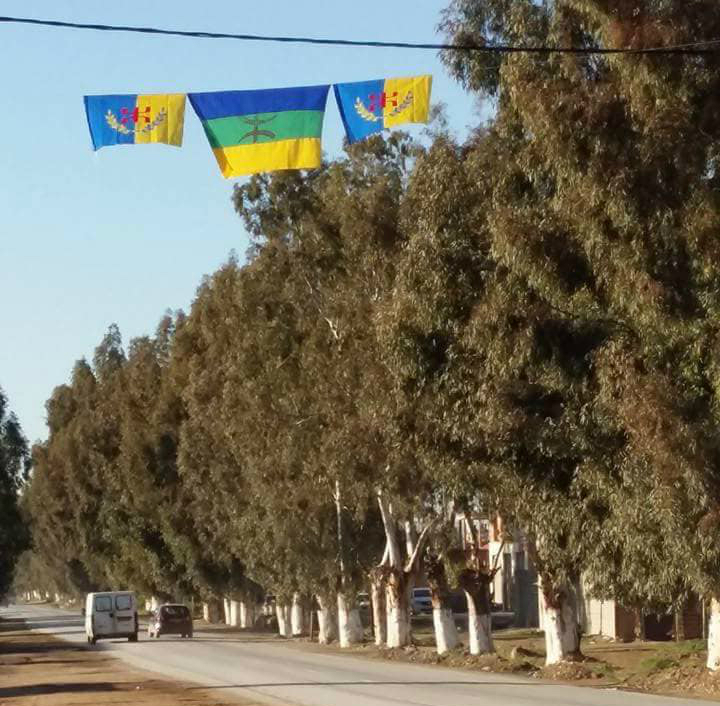 Village Colonel Amirouche : Drapeaux kabyles arrachés par les gendarmes coloniaux algériens