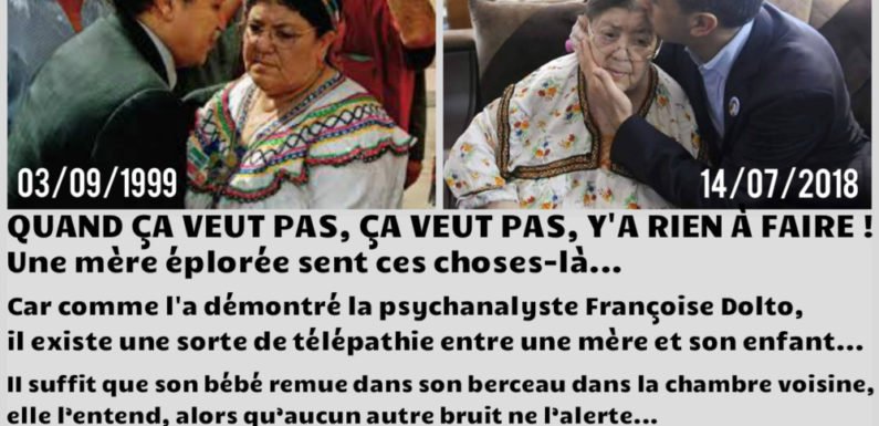 Algérie : De la déshérence intellectuelle et éthique à l’allégeance à un « État » voyou narcotrafiquant