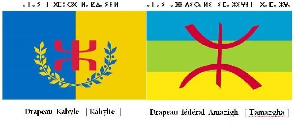 Le Drapeau national kabyle a deux ans : « vive la liberté ! » – Siwel