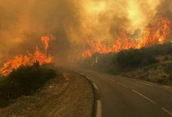 Olivier Graïne : La Kabylie brûle et nous, « khawa-khawa » avec le pyromane, on va ailleurs