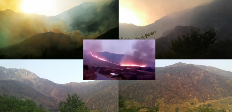 Le massif du Djurdjura en danger : Gigantesque brasier dans les montagnes d’Iwaquren