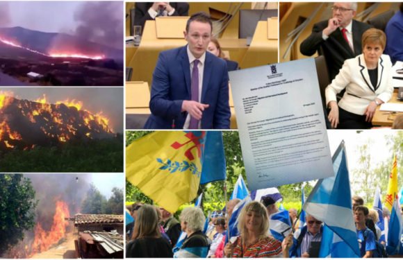 Incendies criminels en Kabylie : le gouvernement écossais saisi par le député Fulton MacGregor