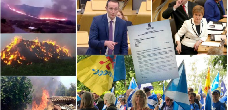 Incendies criminels en Kabylie : le gouvernement écossais saisi par le député Fulton MacGregor