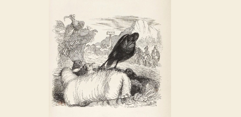 LA FABLE DU CORBEAU, DU ROSSIGNOL ET DU COCHON