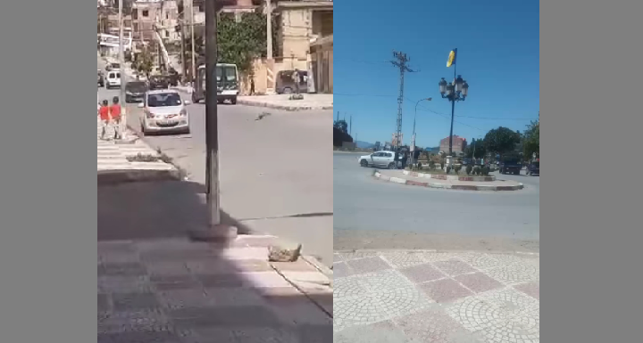 LA GENDARMERIE COLONIALE ALGÉRIENNE ARRACHE LE DRAPEAU KABYLE A HALOUANE OUZELLAGUEN