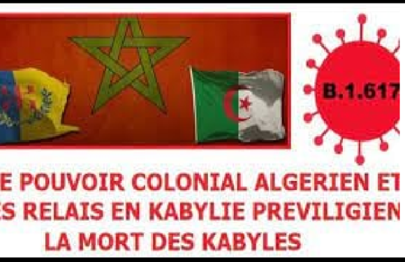 MAIS QUE RESTE-T-IL DE CETTE FUMISTERIE NOMMÉE « ALGÉRIE » ?