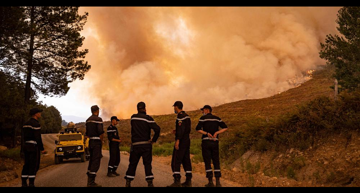 LE SUDOUEST: INCENDIES EN ALGÉRIE-L’OPPOSITION INDÉPENDANTISTE KABYLE VEUT UNE « ENQUÊTE INTERNATIONALE »