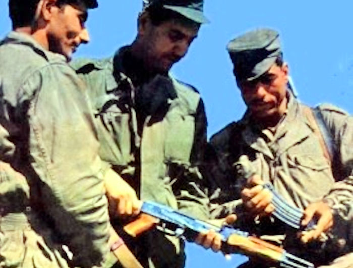 La Kabylie prenait les armes contre l'Algérie il y a 53 ans, hommage de l'Anavad