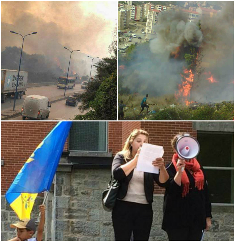 La Ministre des Droits humains réagit aux incendies criminels qui ravagent la Kabylie
