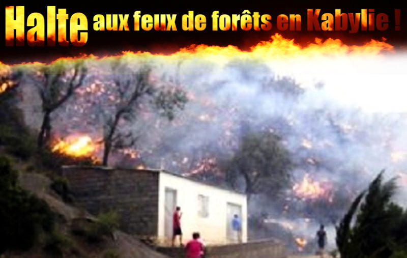 Pétition contre la politique de la terre brûlée excercée par le pouvoir algérien en Kabylie