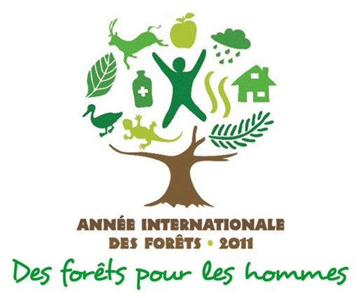 Lancement de l'année internationale des forêts