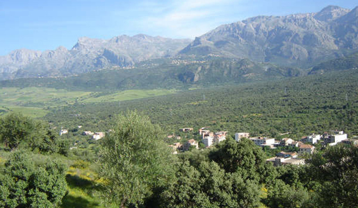 Kabylie : un artisan kidnappé à Mechtras Kabylie : un artisan kidnappé à Mechtras