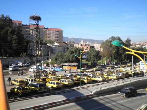 Tizi-Ouzou : des déplacements à 800 DA et les transporteurs bloquent la direction des transports Tizi-Ouzou : des déplacements à 800 DA et les transporteurs bloquent la direction des transports