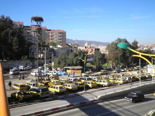 Tizi-Ouzou : des déplacements à 800 DA et les transporteurs bloquent la direction des transports