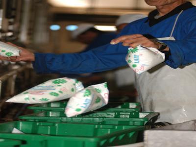 Tizi-Ouzou : la crise du lait entame sa 2éme semaine Tizi-Ouzou : la crise du lait entame sa 2éme semaine