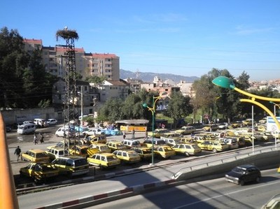 Sit-in des transporteurs devant la wilaya de Tizi-Ouzou