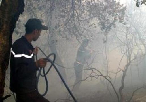 Bejaïa : 42 feux de forêt en deux jours Bejaïa : 42 feux de forêt en deux jours