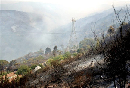 Des incendies de forêts ravagent la région de Bejaia Des incendies de forêts ravagent la région de Bejaia