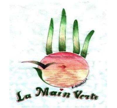 Le renouvellement de l'Association écologique « La main verte » fait l'objet de dénonciation Le renouvellement de l'Association écologique « La main verte » fait l'objet de dénonciation