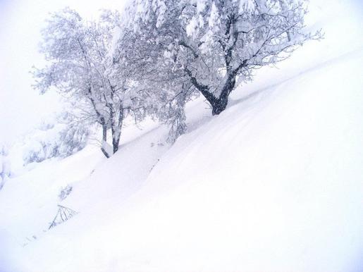 Météo : retour de la neige et de la pluie Météo : retour de la neige et de la pluie