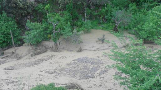 Urgent / Illilten : l'écoulement de boue de l'hiver passé menace encore des villages de la commune 