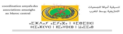 Associations amazighes : La coordination Amyafa condamne la répression algérienne en Kabylie