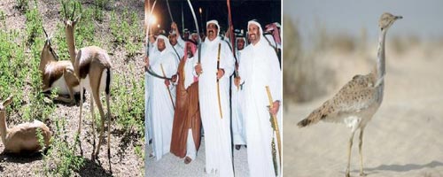 Algérie : Les braconniers sont de retours pour décimer outardes et gazelles du désert