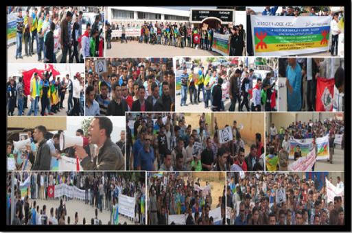 Printemps amazigh : le mouvement du Rif marche pour la première fois àTemsamen
