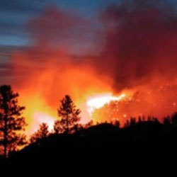 Suite à un incendie ravageur: les villageois de Badis ferment le siège de l'APC de Tizi-Ghenif