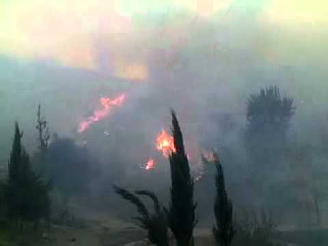 Week-end d'enfer à Vgayet : plus d'une trentaine de foyers d'incendies simultanés dans une dizaines de localités