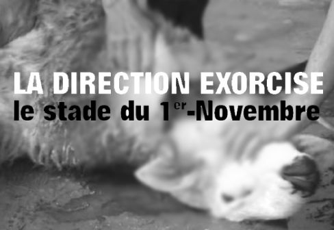 Sacrifie d'un mouton pour exorciser le stade du 1er Novembre : La JSK de Hannachi touche le fond