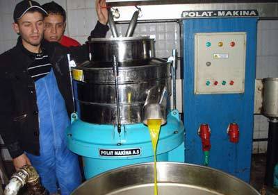 Oléiculture à Tizi-Ouzou : une production record de 820 000 quintaux Oléiculture à Tizi-Ouzou : une production record de 820 000 quintaux