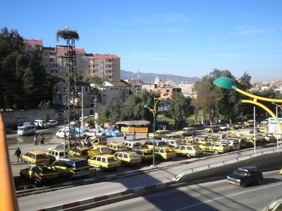 Tizi Ouzou : fin de la grève des transporteurs