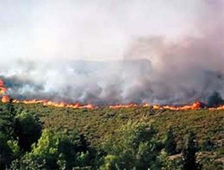 Béjaïa toujours encerclée par les flammes Béjaïa toujours encerclée par les flammes