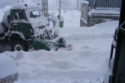 Importantes chutes de neige en Kabylie Importantes chutes de neige en Kabylie